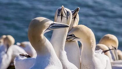 陪玩师如何平衡工作与生活